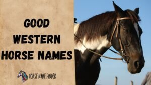 300 Good Western Horse Names (With Meanings)