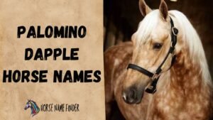 Palomino Dapple Horse Names (With Meanings)