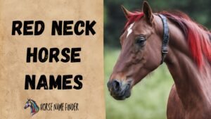 300 redneck horse names